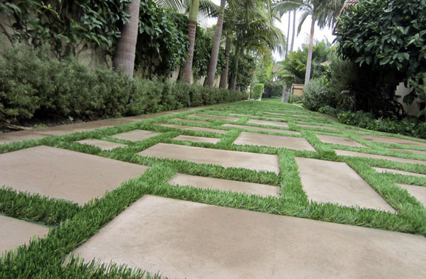 fake lawns in Illinois