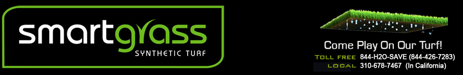 Smart Grass America