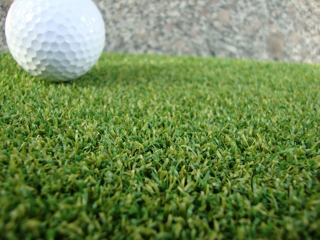 SmartPutt